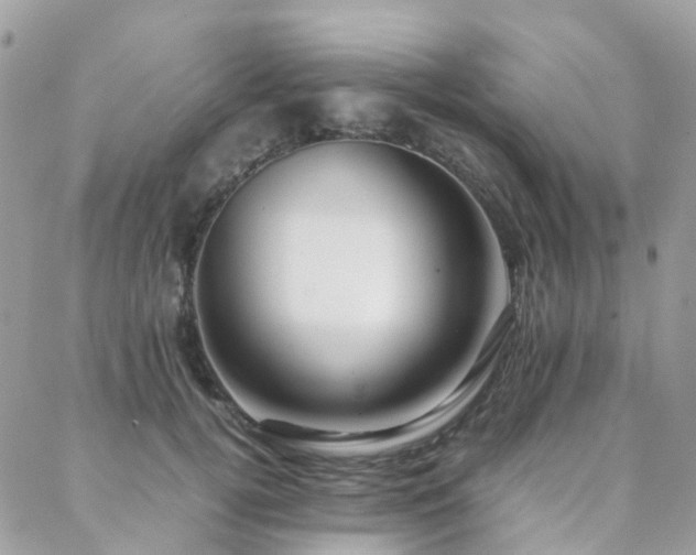 X0000088360752200705221031