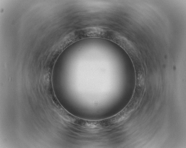 X0000088360753200705221031