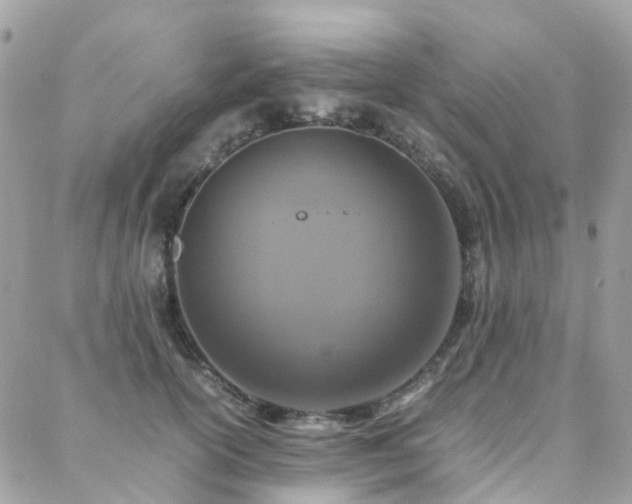 X0000088360754200705221031