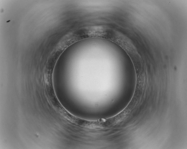 X0000088360755200705221031