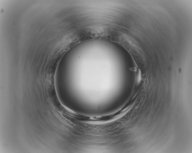 X0000088360756200705221031