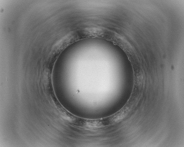 X0000088360757200705221031