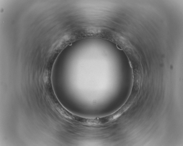 X0000088360758200705221031