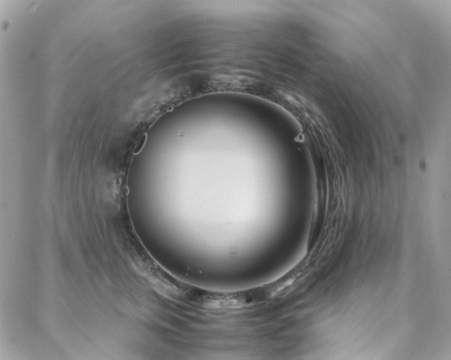 X0000088360759200705221031