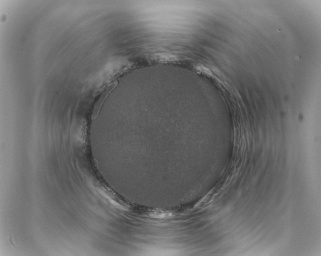 X0000088360760200705221031