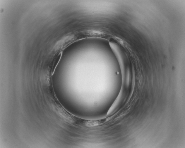 X0000088360762200705221031