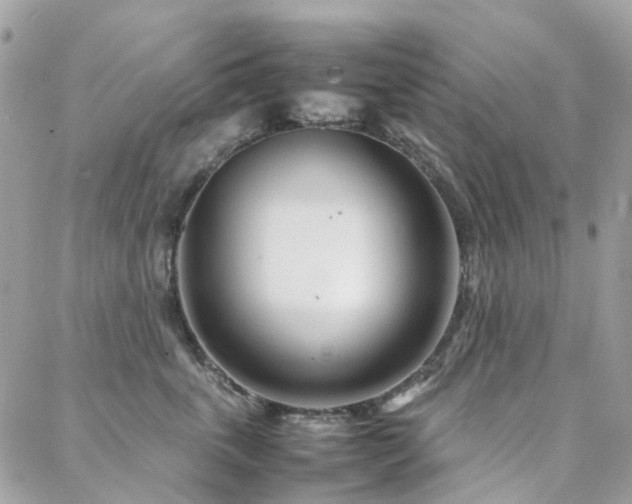 X0000088360763200705221031