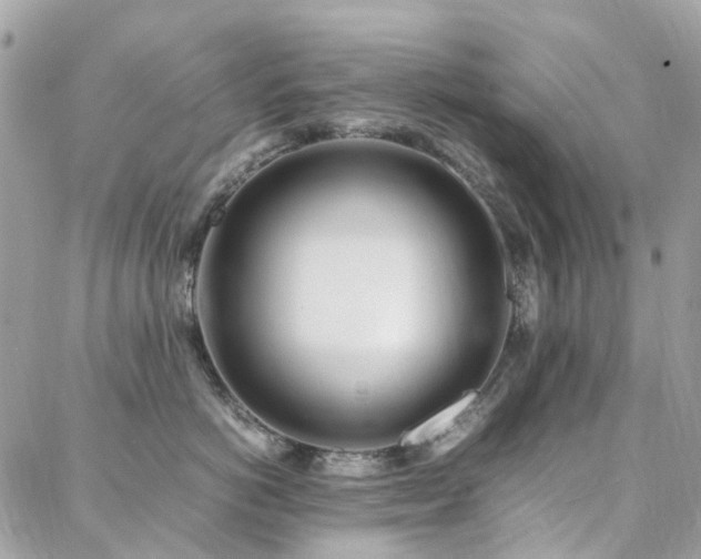 X0000088360766200705221031