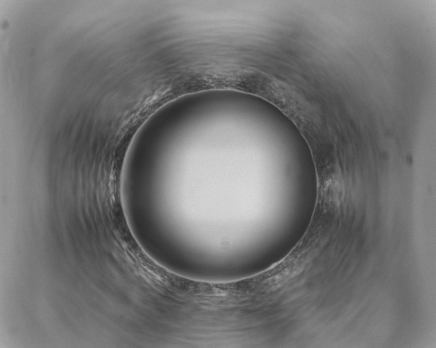 X0000088360772200705221030