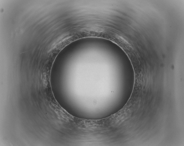 X0000088360774200705221030