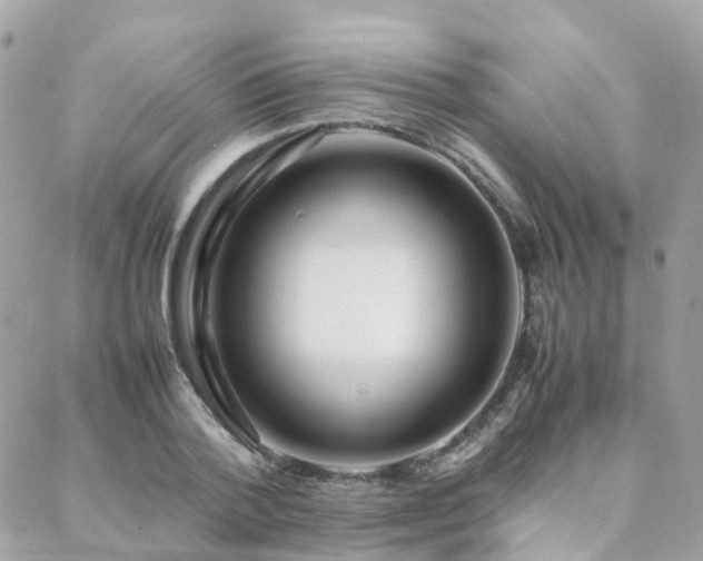 X0000088360788200705221030