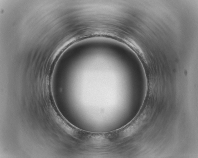 X0000088360798200705221030