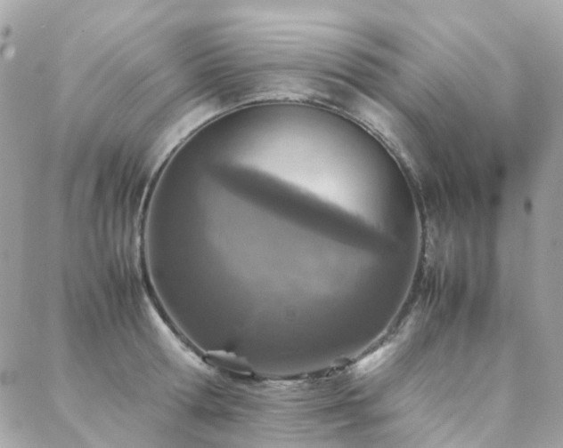 X0000088360802200705221029