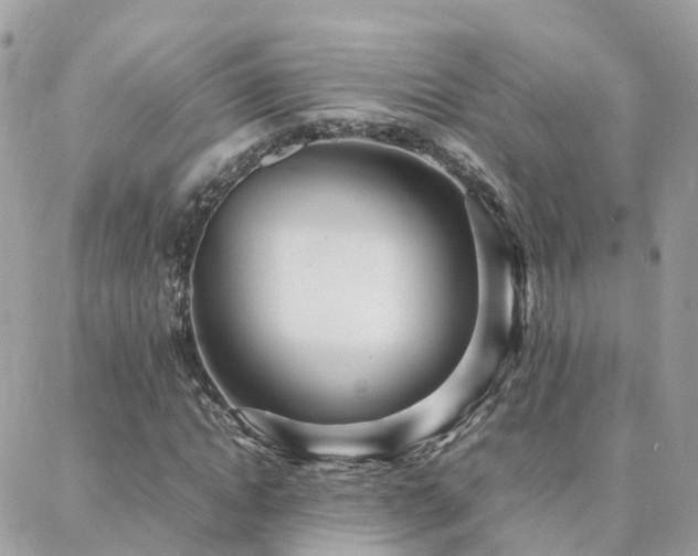 X0000088360822200705221029