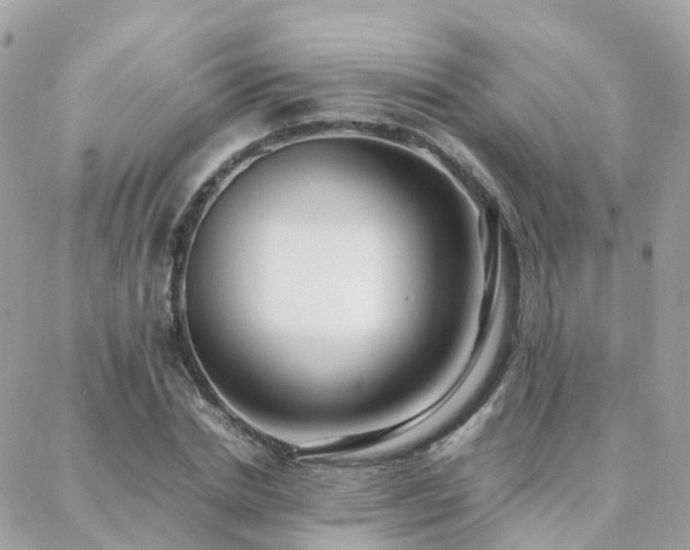 X0000088360830200705221029