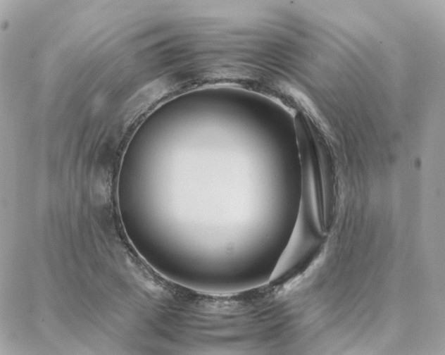 X0000088360833200705221029