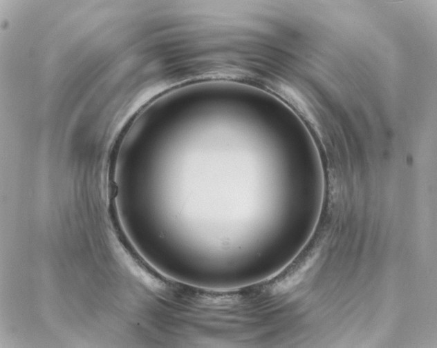 X0000088360843200705221029