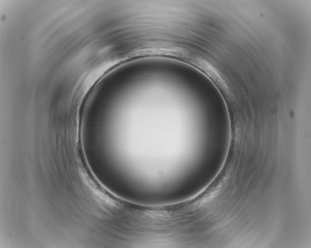 X0000088360844200705221029