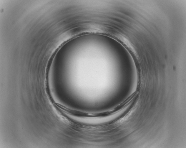 X0000088360845200705221029