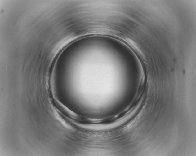 X0000088360846200705221029