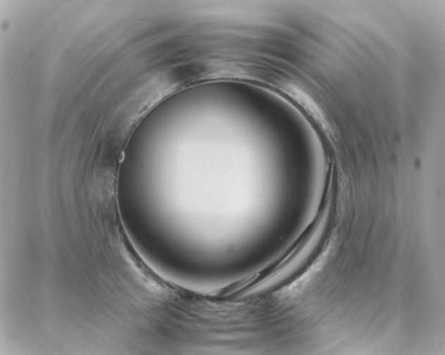 X0000088360849200705221029