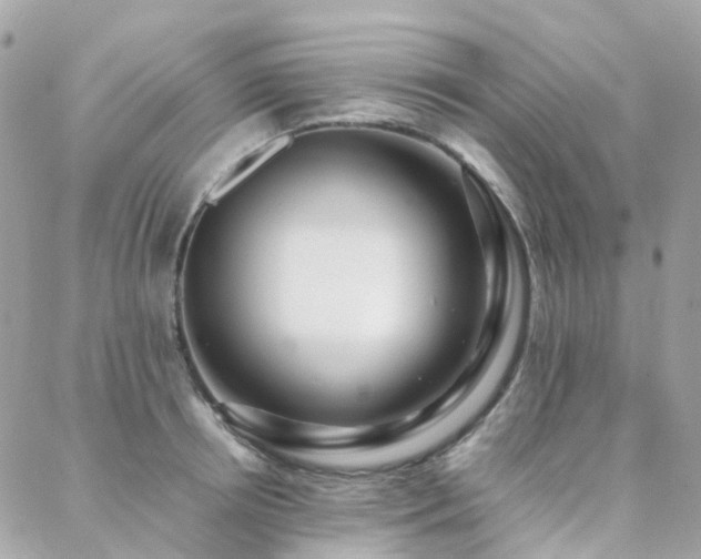 X0000088360850200705221029