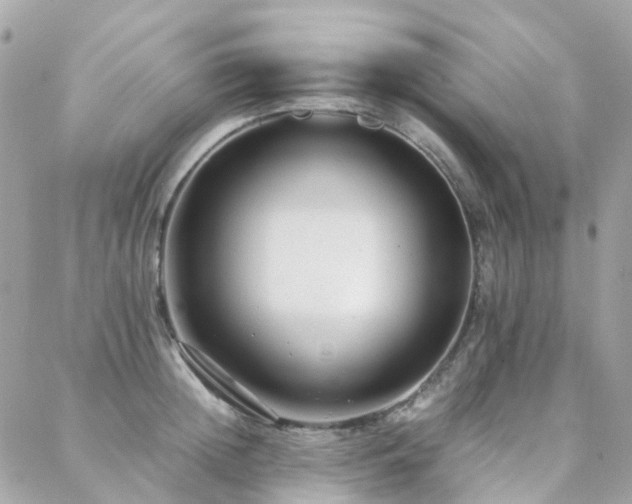 X0000088360852200705221029