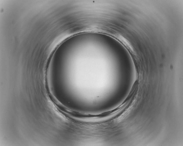 X0000088360854200705221029