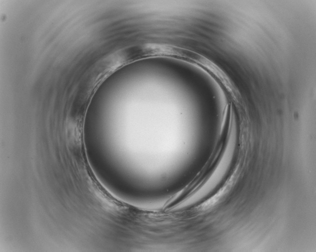 X0000088360857200705221029