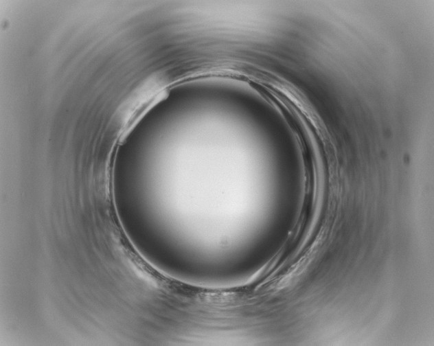 X0000088360858200705221029