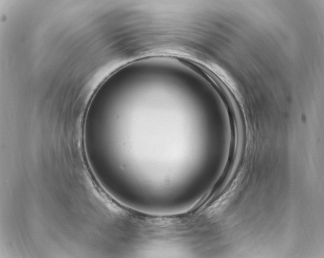 X0000088360862200705221029