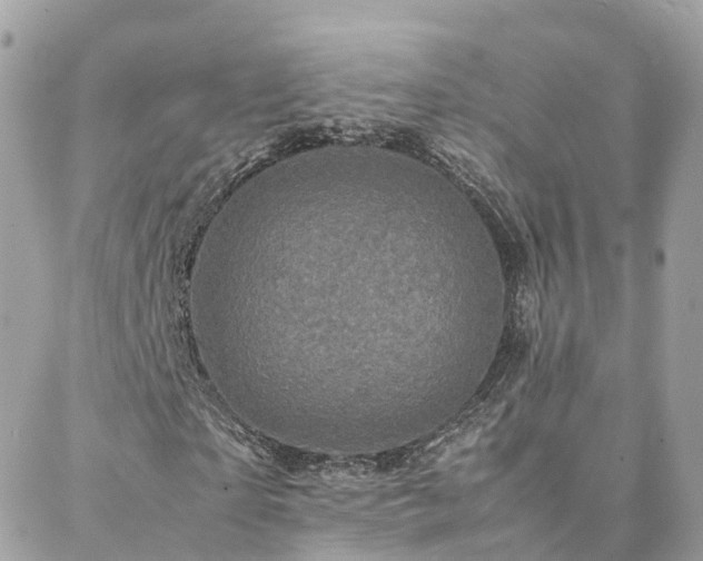 X0000088360865200705221028