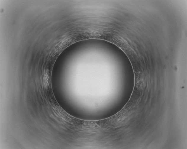 X0000088360866200705221028