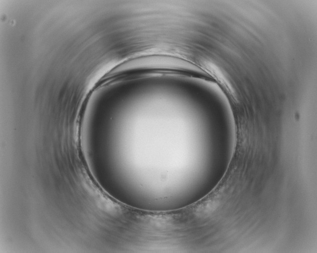 X0000088360900200705221028