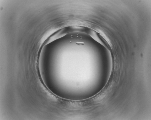 X0000088360901200705221028