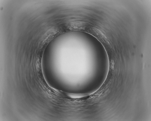 X0000088360915200705221027