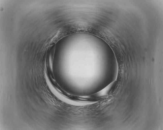 X0000088360916200705221027