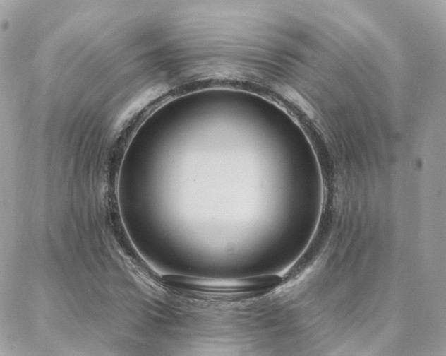 X0000088360922200705221027