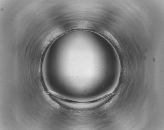 X0000088360938200705221027