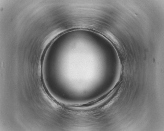 X0000088360940200705221027