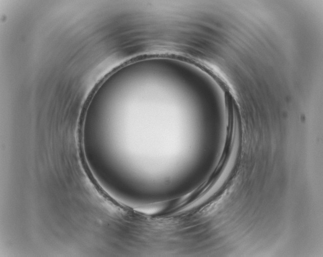 X0000088360943200705221027