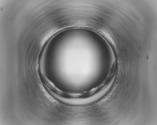 X0000088360944200705221027