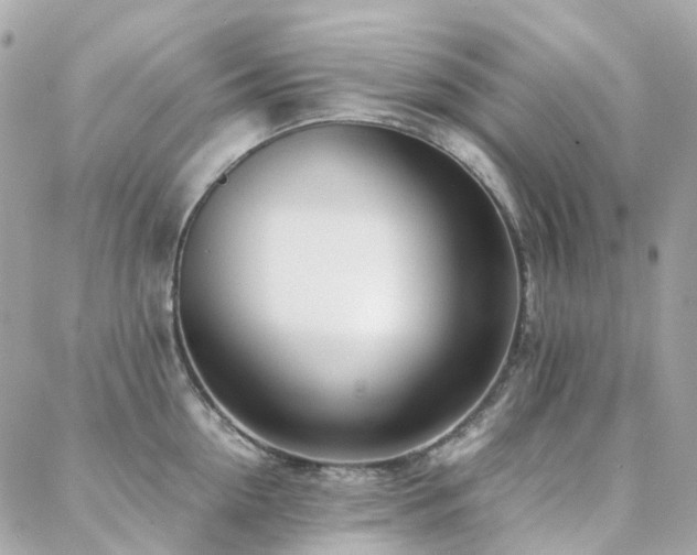 X0000088360954200705221028