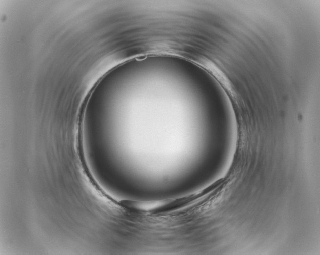 X0000088360955200705221028
