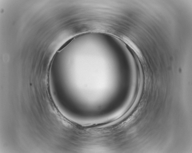 X0000088360956200705221028