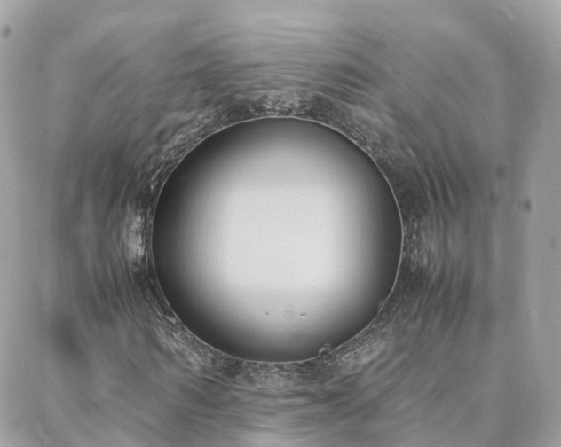X0000088360962200705221027