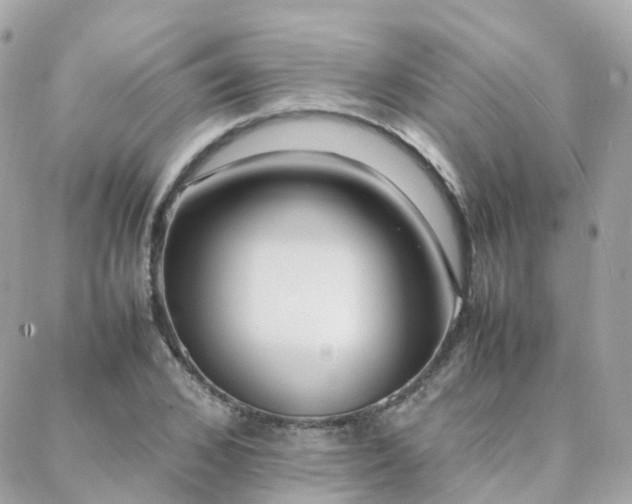 X0000088360976200705221027