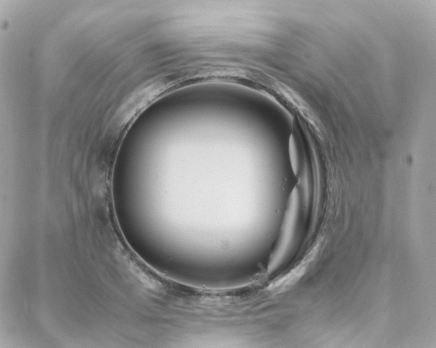 X0000088360985200705221026
