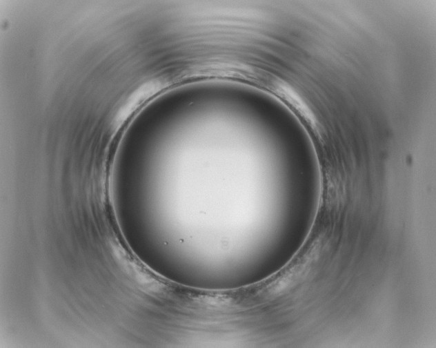 X0000088360994200705221026