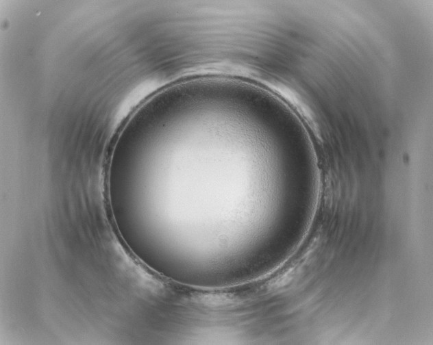 X0000088360998200705221026